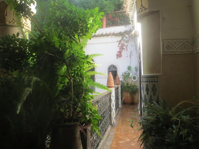Riad Maizie - Teras