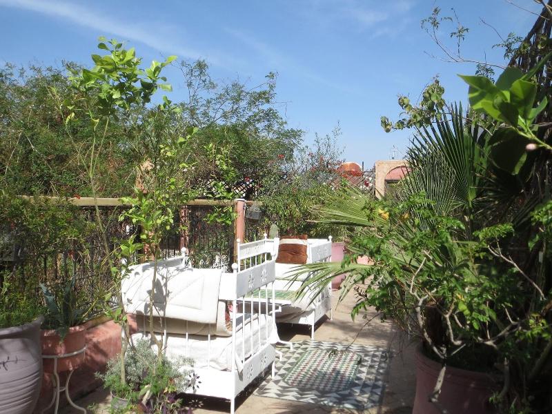Riad Maizie - Teras