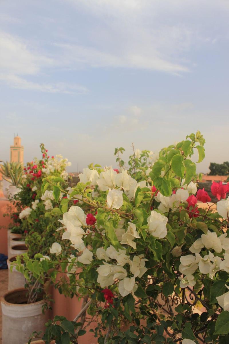 Riad Du Ciel - Oda