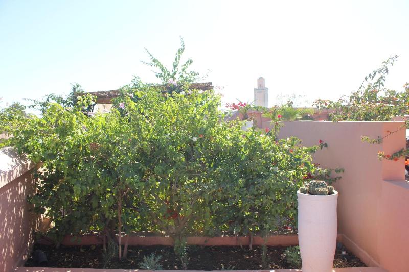 Riad Du Ciel - Teras