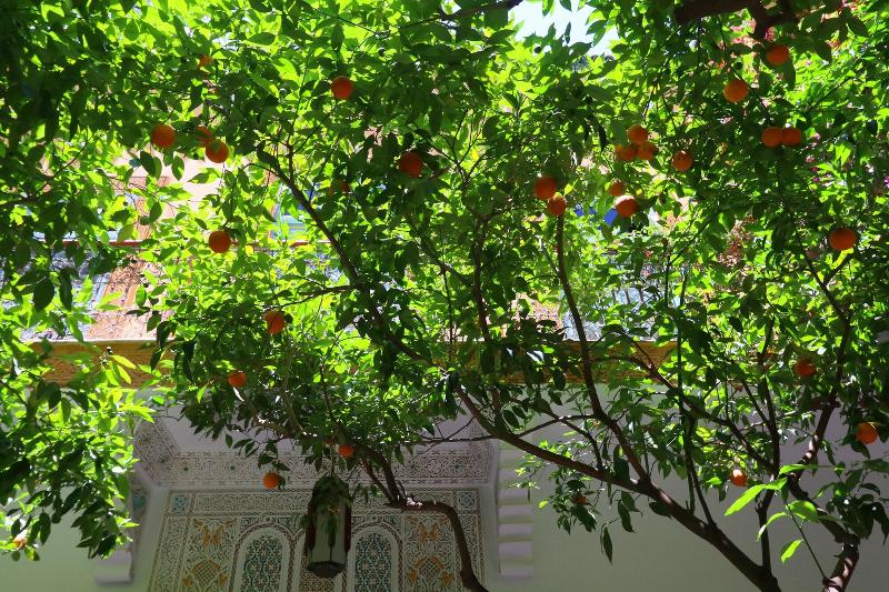 Riad El Borj - Teras