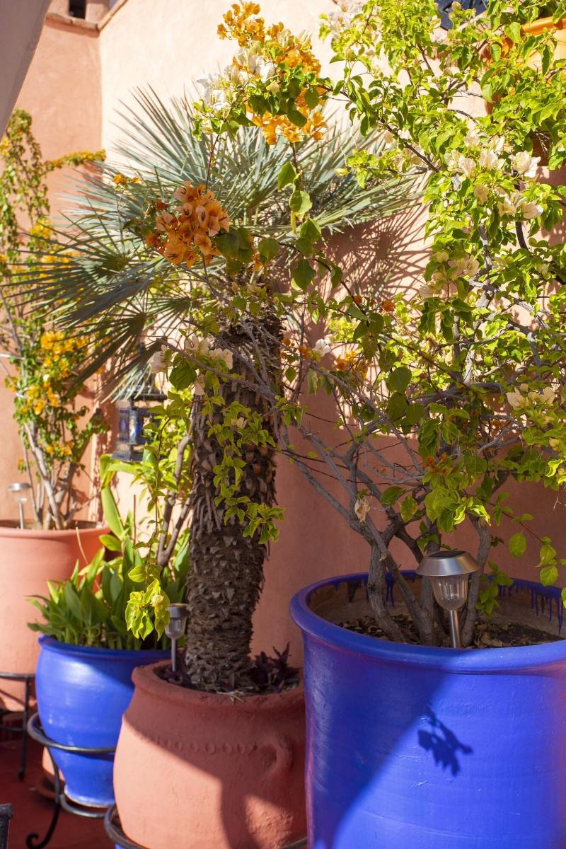 Riad Christina - Oda