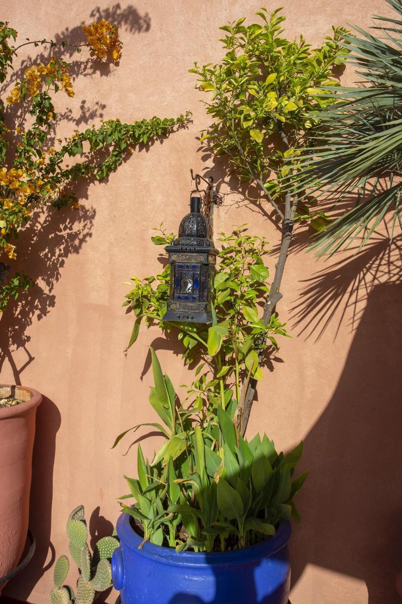 Riad Christina - Oda