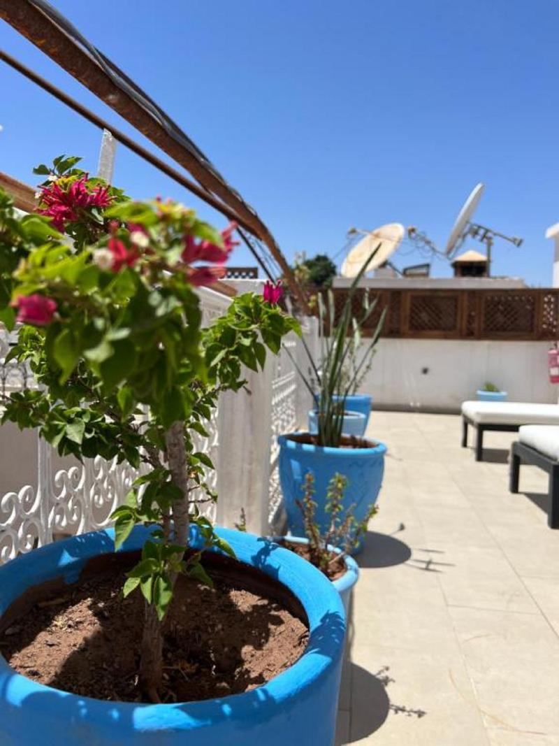 Riad Excellence Luxe - Havuz