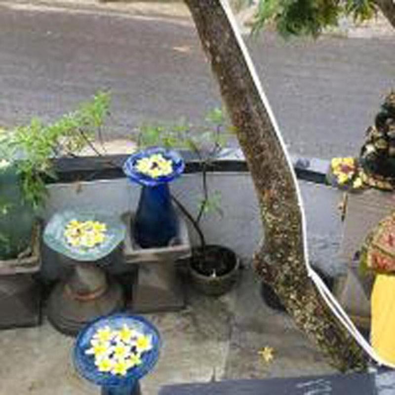 Bulan Bali Hostel - Genel