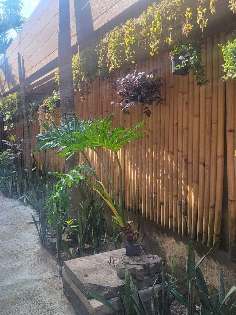 Bulan Bali Hostel - Oda
