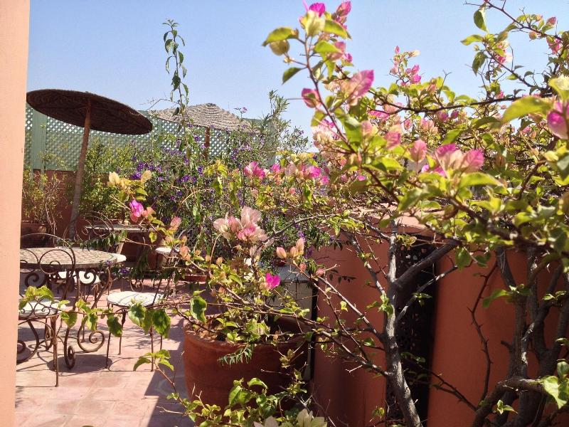 Riad Mariana - Genel