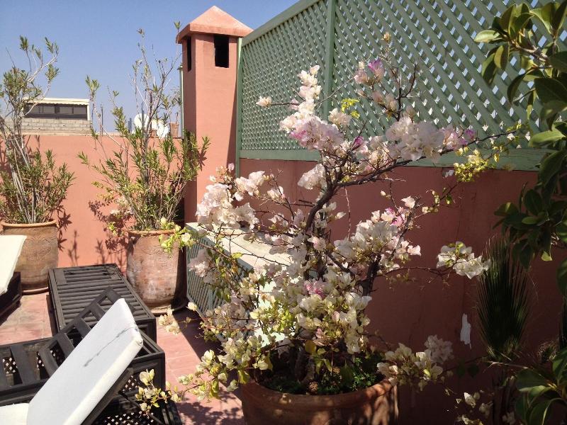 Riad Mariana - Teras