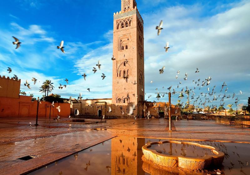 Riad Al Jana - Genel