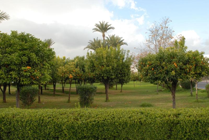 Riad Al Jana - Genel