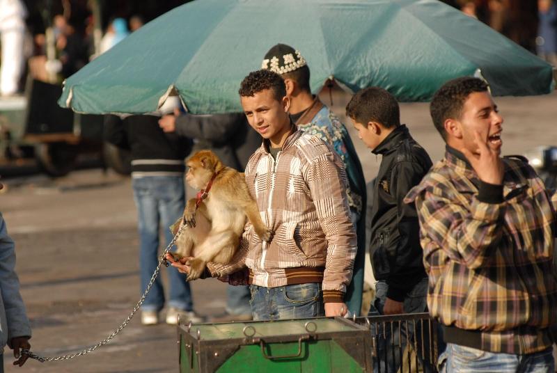 Riad Al Jana - Genel