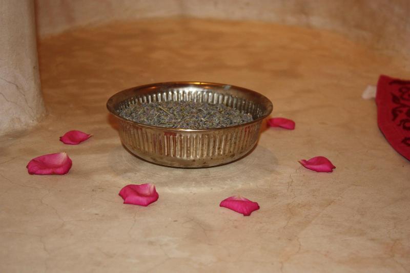 Riad Dar Zaya - Aktivite