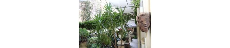 Casa Barbero Charme - Teras