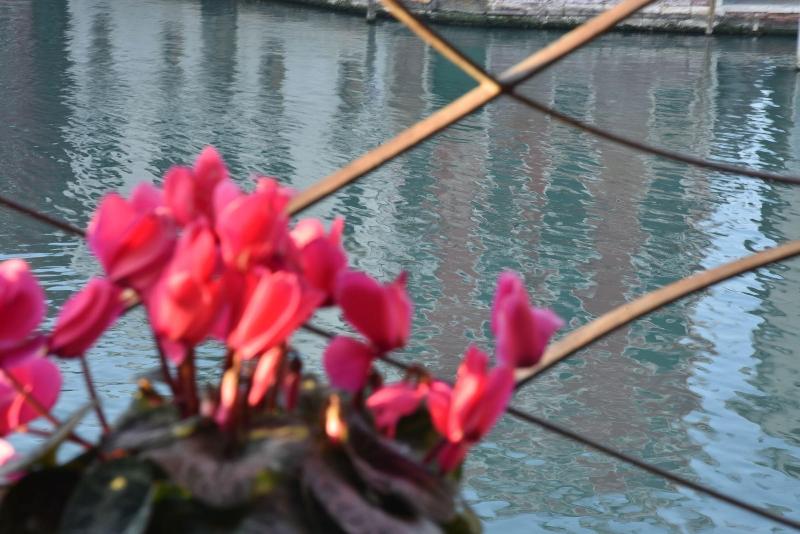 B&B Vista sul Canal Grande - Oda