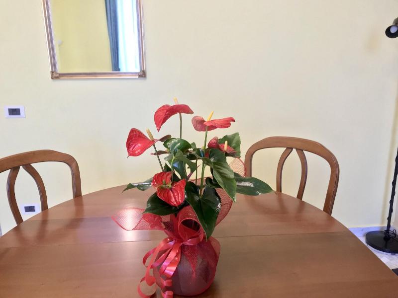 Bed&Breakfast Il Tesoro - Oda