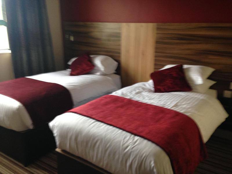 Mourne Country Hotel - Oda