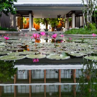 Pullman Khao Lak Resort fotoÄŸrafÄ±