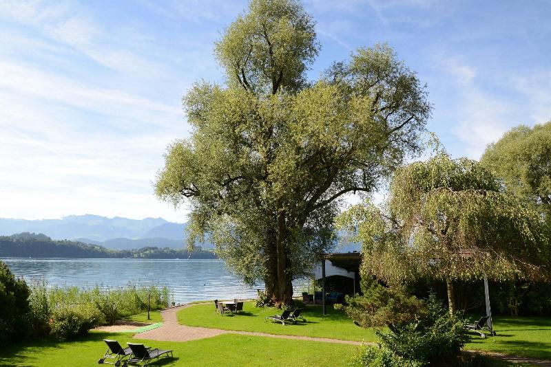 Schloss-Hotel – Swiss-Chalet Merlischachen - Genel
