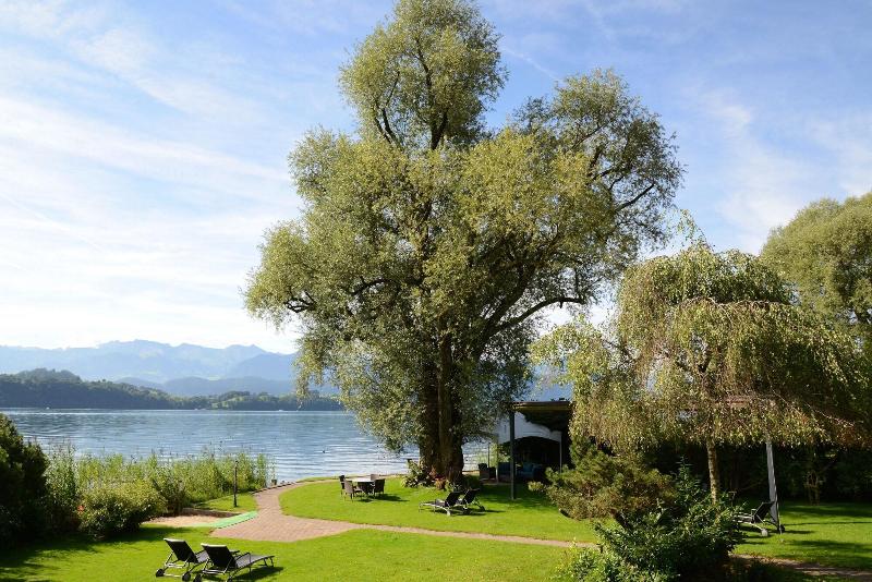 Schloss-Hotel – Swiss-Chalet Merlischachen - Genel