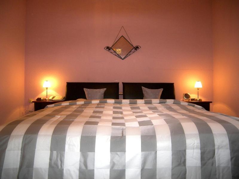 Hotel Attaché Frankfurt Airport Raunheim - Oda