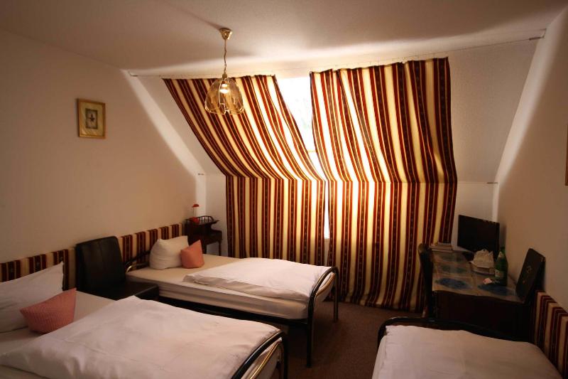 Hotel Attaché Frankfurt Airport Raunheim - Oda