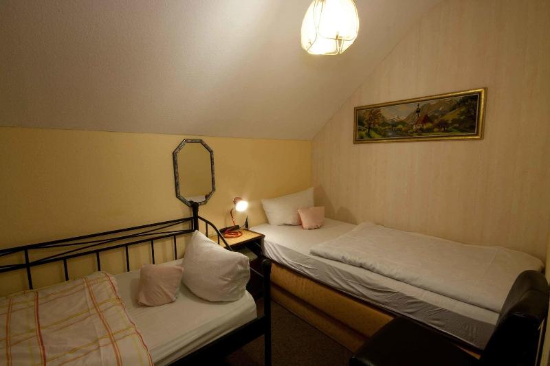 Hotel Attaché Frankfurt Airport Raunheim - Oda