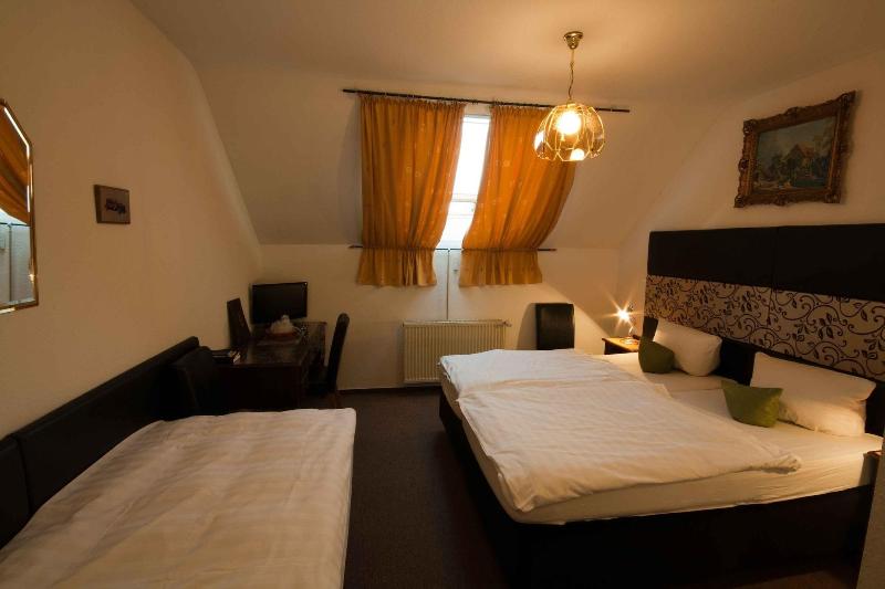 Hotel Attaché Frankfurt Airport Raunheim - Oda