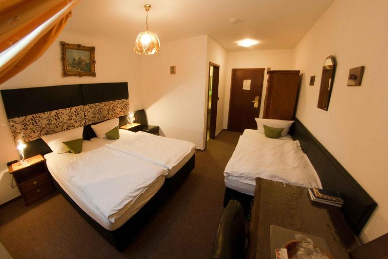 Hotel Attaché Frankfurt Airport Raunheim - Oda