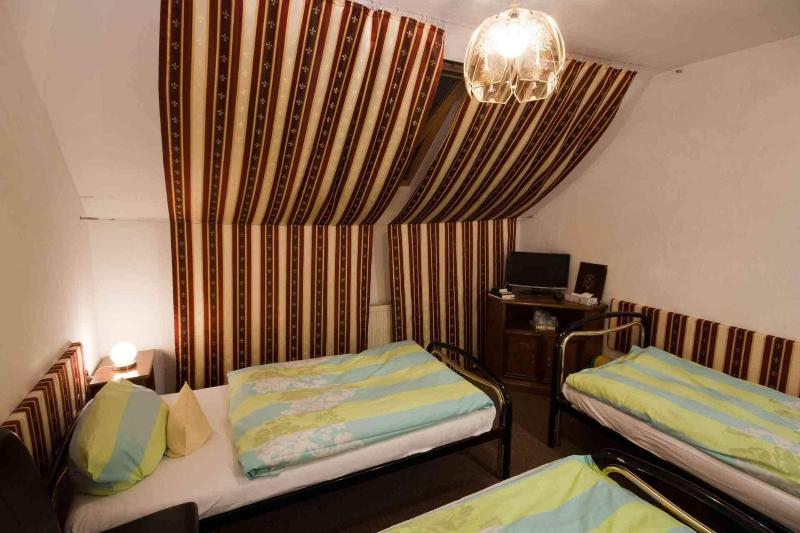 Hotel Attaché Frankfurt Airport Raunheim - Oda