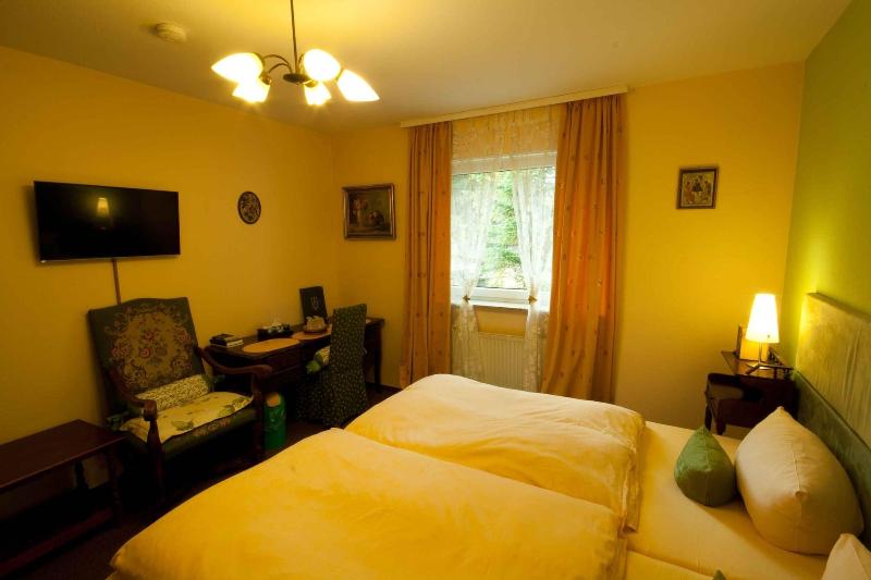 Hotel Attaché Frankfurt Airport Raunheim - Oda