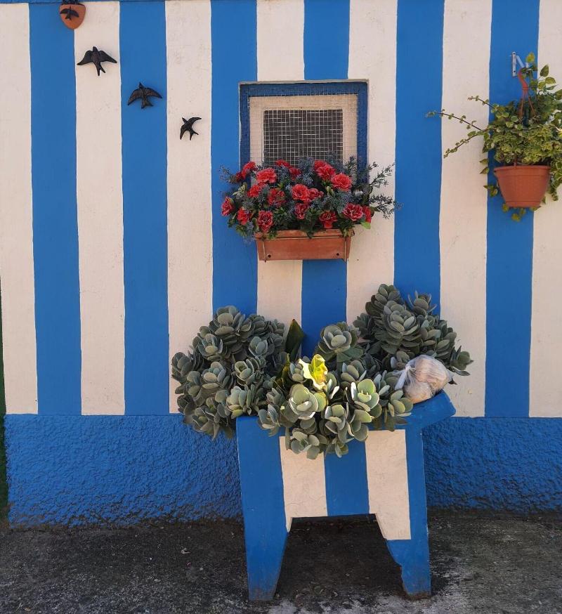 Ó da Casa-Typical Portuguese Guest House - Genel