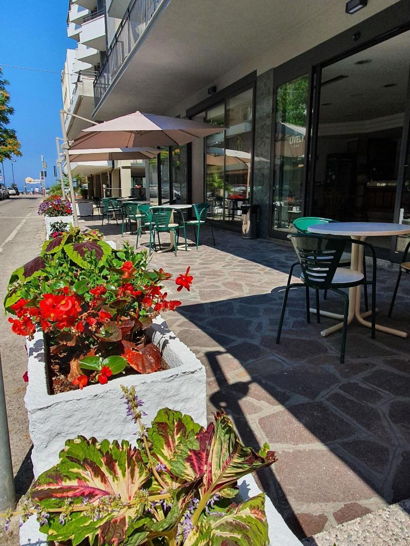 Lively Hotel - Genel