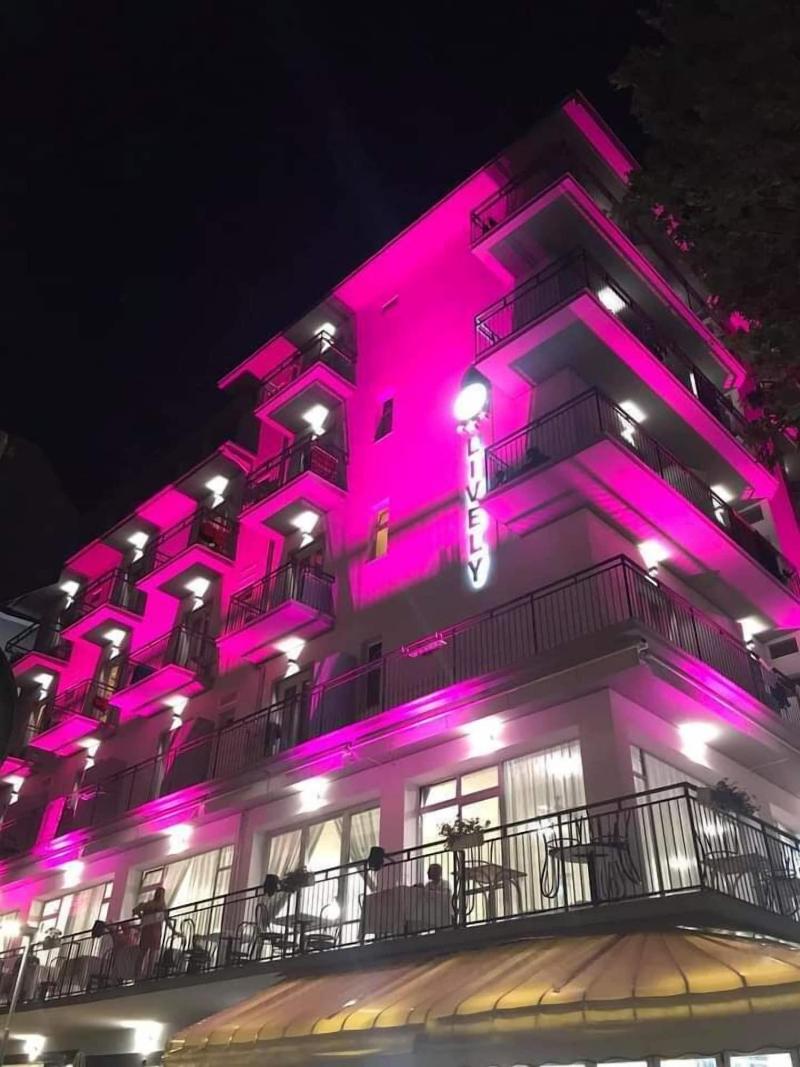 Lively Hotel - Genel