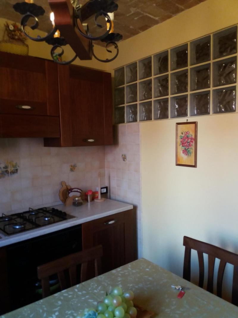 Myosotis - Oda