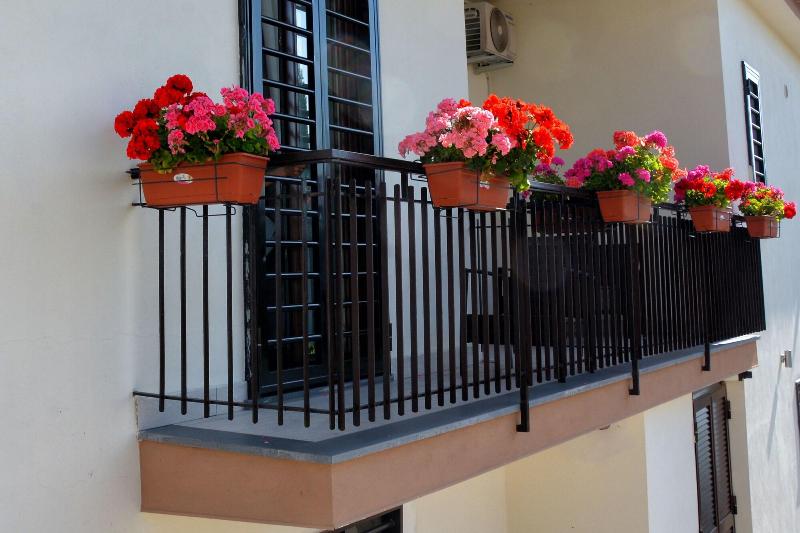Sylva Mala Home - Genel