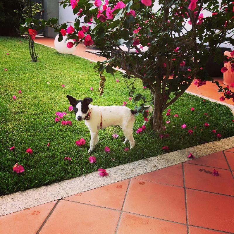 City Garden Guest House - Genel