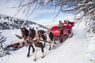 Basekamp Mountain Budget Hotel fotoÄŸrafÄ±