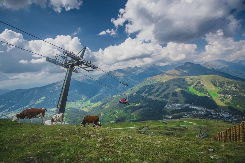 Basekamp Mountain Budget Hotel - Aktivite