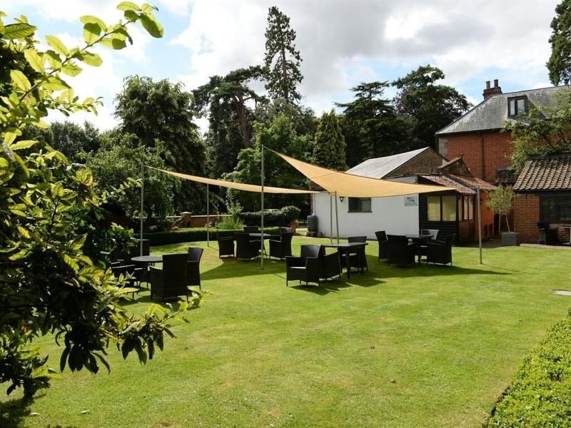 Satis House - Aktivite