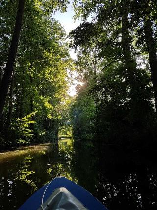 Willischza fotoÄŸrafÄ±