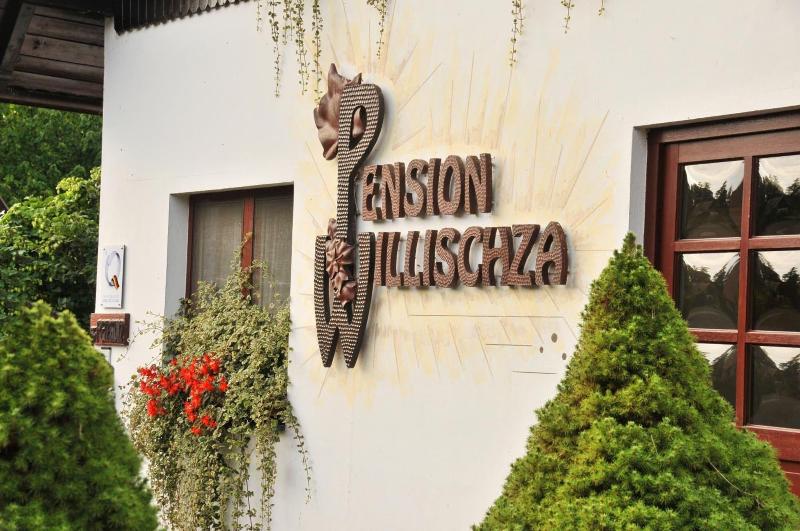 Willischza - Genel