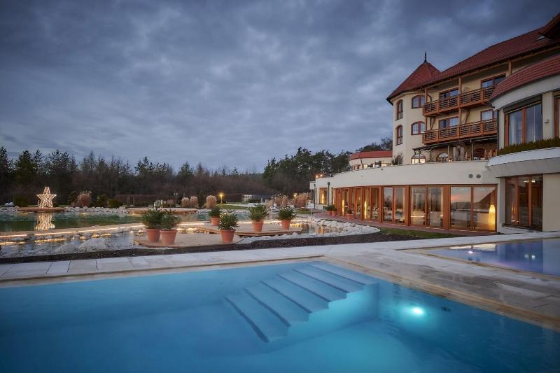 Der Birkenhof - Spa & Genuss Resort - Havuz