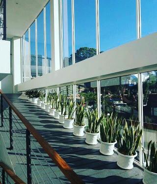 Terra Cassa Hotel otel fotoğrafı
