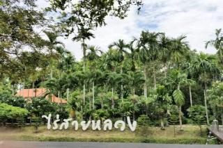 Raisailuang Resort otel fotoğrafı