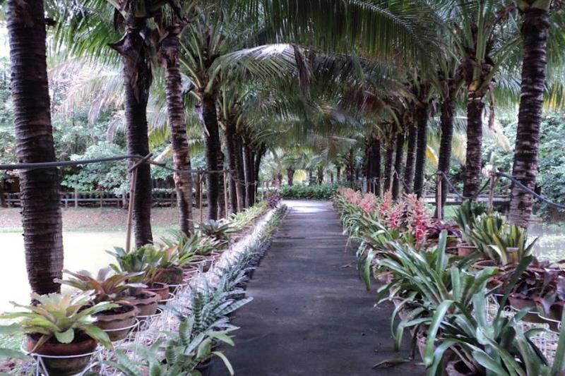 Raisailuang Resort - Genel