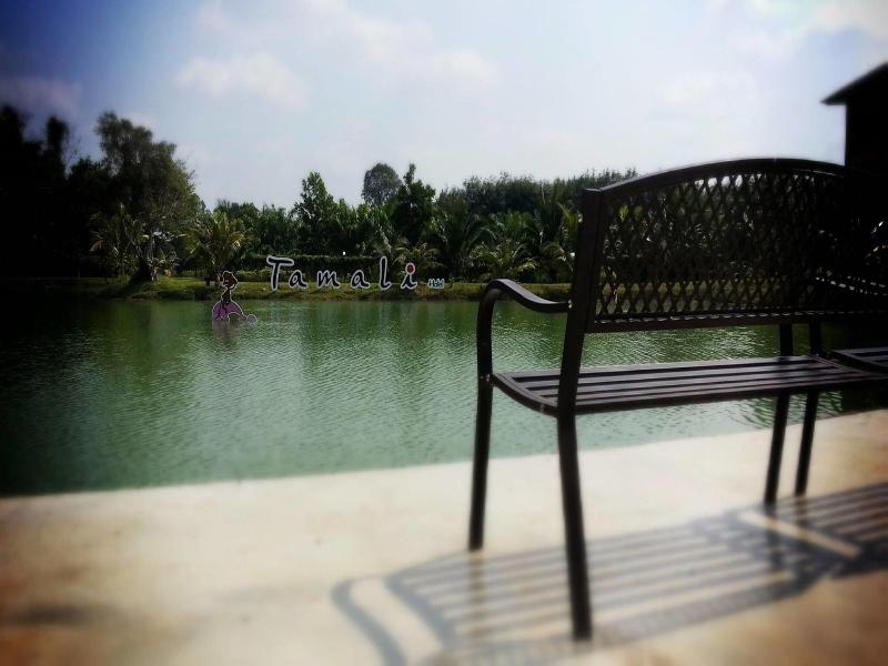 Tamali Hotel - Teras