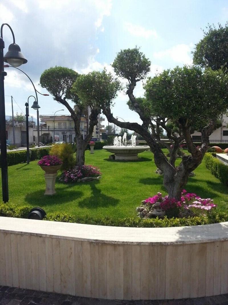 Hotel Maddaloni - Genel