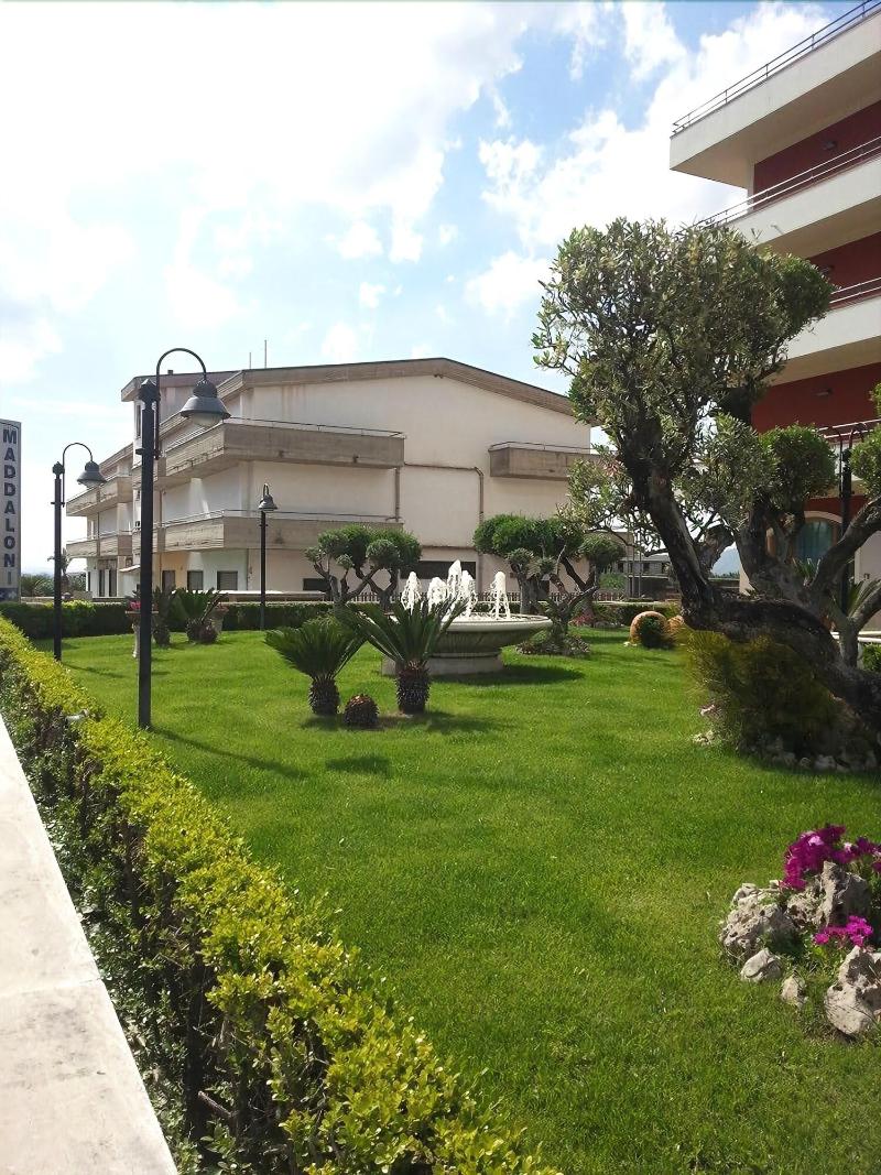 Hotel Maddaloni - Genel