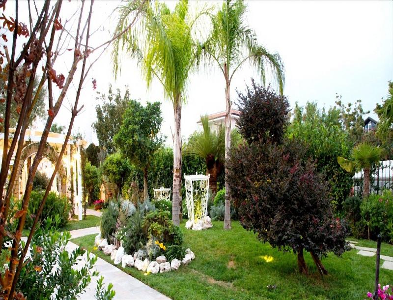 Hotel Villa Clementina - Genel