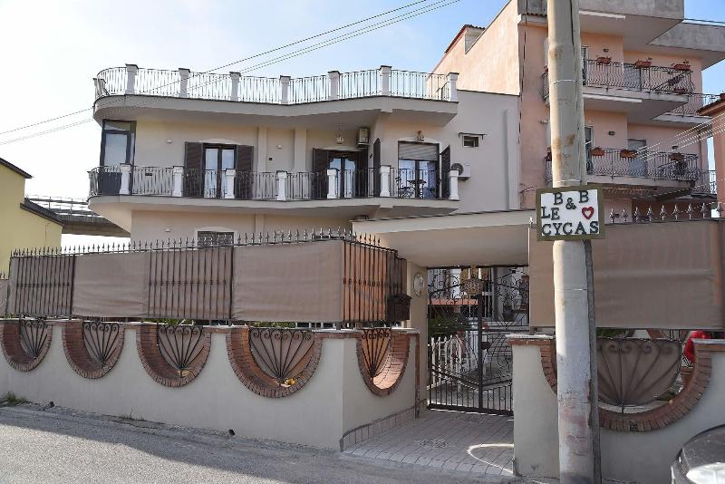 B&B Le Cycas - Genel